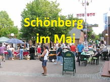Maibaum Schönberg-Holm
